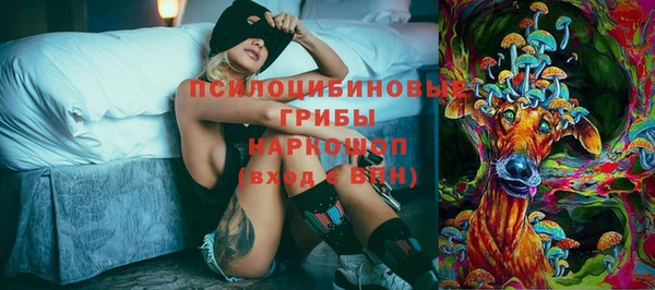скорость Няндома