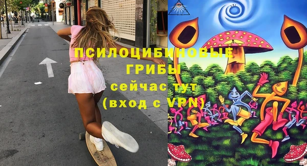 ешки Алексеевка