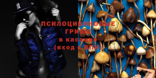 бошки Абинск