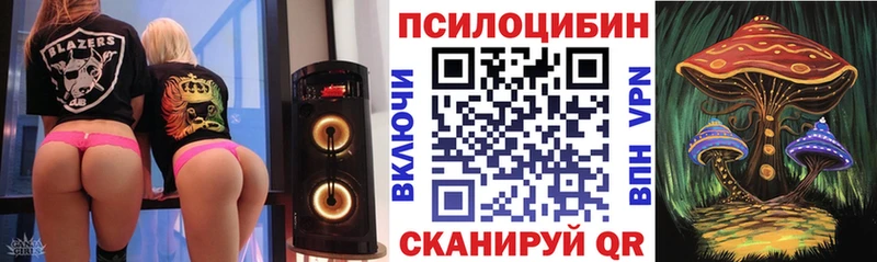 гидра сайт  Топки  Псилоцибиновые грибы Psilocybe 